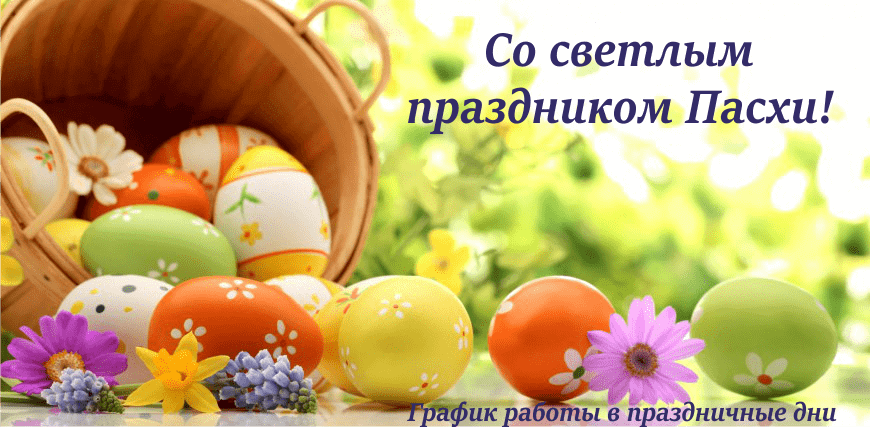 pasha_nasajt